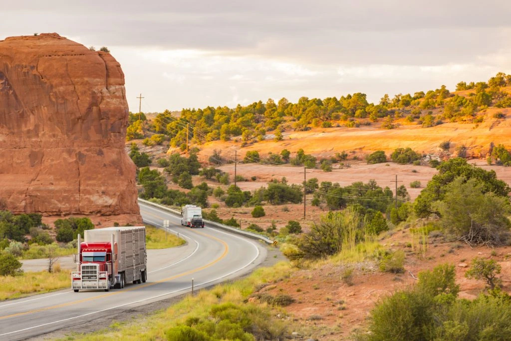 Trucks on the road
